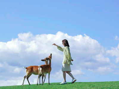 <28人VIP·炭烤全羊>烏蘭布統(tǒng)跟團(tuán)游/2日1晚/精品住宿/無(wú)購(gòu)物