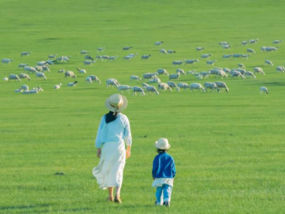 <塞上行.草原特色銅鍋涮肉>烏蘭布統(tǒng)3天2晚跟團(tuán)游